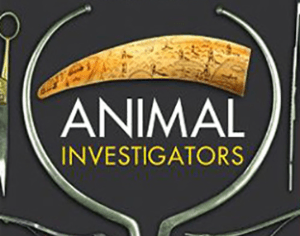 312x245animalinvestigators-hardcover